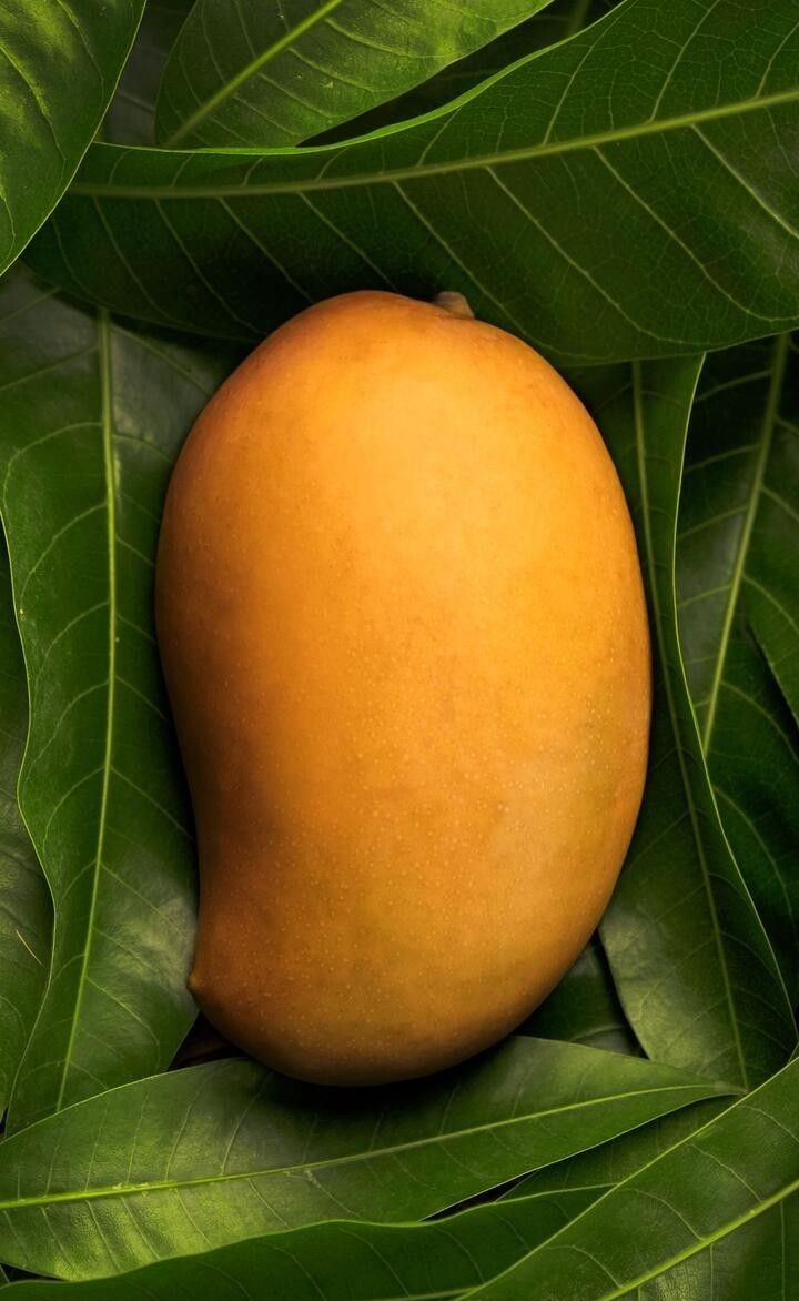 Fresh Mango